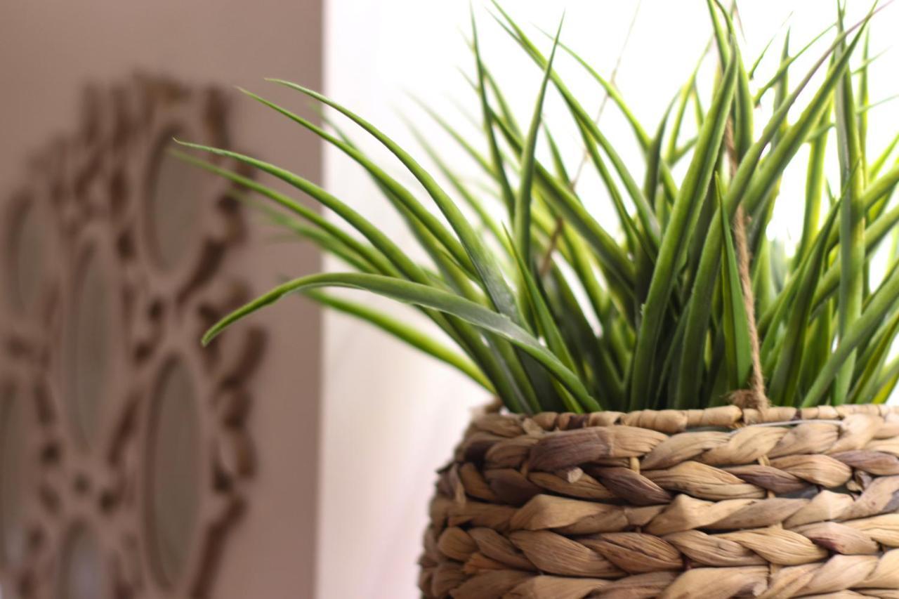 شقة Janela Mar Garden اجوا المظهر الخارجي الصورة